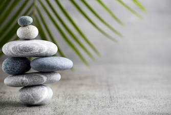 real-state-miami-house-of-wellness-2026