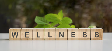 real-state-miami-house-of-wellness-2026